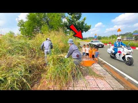 This CLEANUP Completely TRANSFORMED the Entire Neighbourhood!