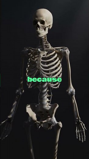 What Happens If You Eat Chicken Every Day?