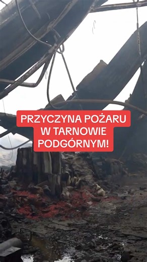 Przyczyna pożaru hali w Tarnowie Podgórnym!