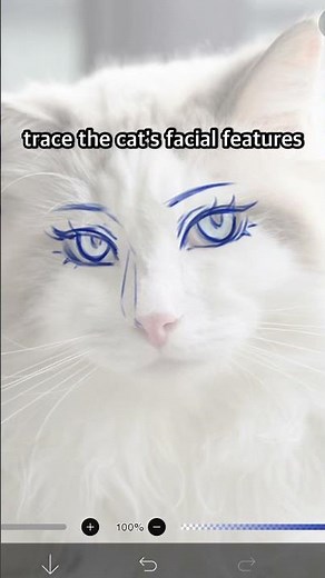 How to draw Anime Face with CATS 🐱 #digitalart #ibispaintx #shorts