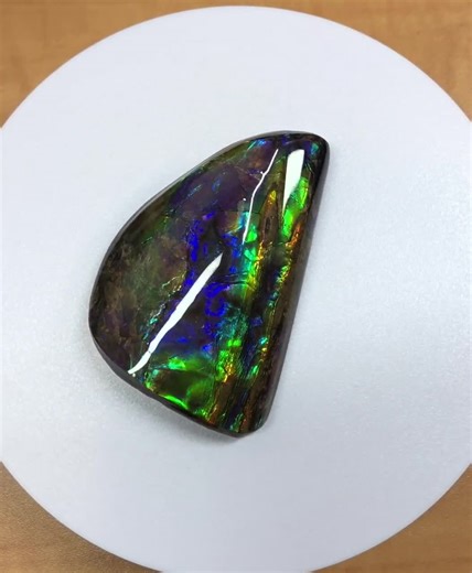 Collector Ammolite Gemstone Specimen: Iridescent Display Piece - Etsy UK