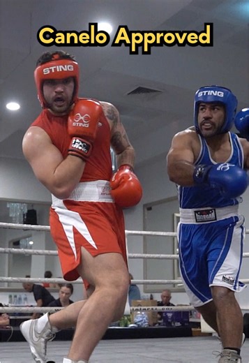 Canelo ✅ approved #boxing #boxingtraining #amateurboxing #boxingfitness #boxinglife