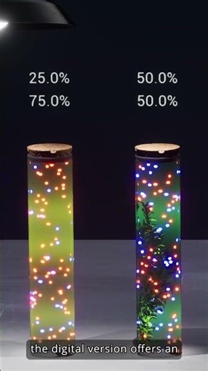 Science Table 3.0 Experiment: Photosynthesis & Respiration