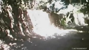 American PMC and military edit