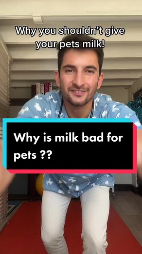 Avoid Giving Milk to Your Pets | Reasons Explained