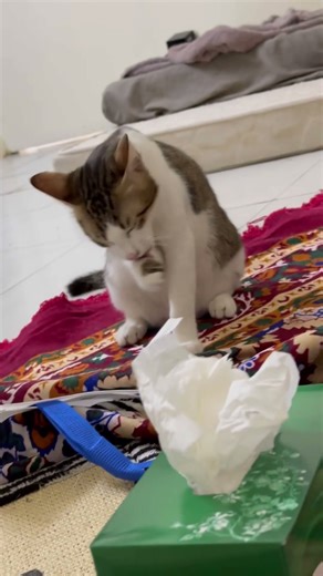 Here goes my cutty pie #cutebaby