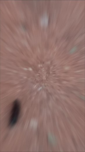 Does anyone know what this is? Tiny black bugs everywhere 😱 they crawl and tbe creep. So weird. #tinyblackbug #littleblackbug #weirdbugs