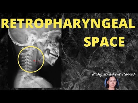 173.Retropharyngeal space Anatomy #lecture #deep neck spaces #surgeryeducation