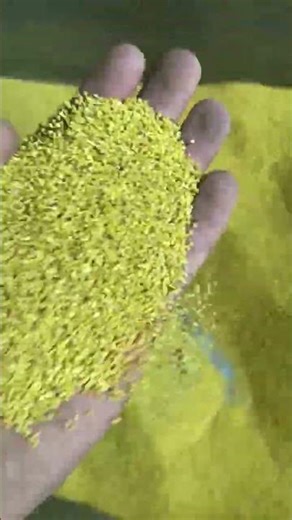 Millet Colour Sorter#machine #factory