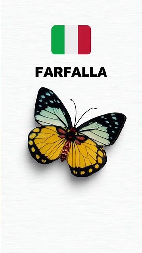 🦋 Language Differences "Butterfly" 🤣😂😁