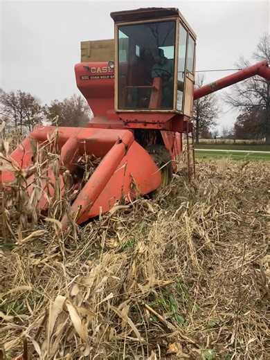 186K views · 2.3K reactions | Case 600 combine rolling in central Illinois. The Turneys of Clinton, IL call their 600 “Old Joe” | Machinery Pete | Facebook