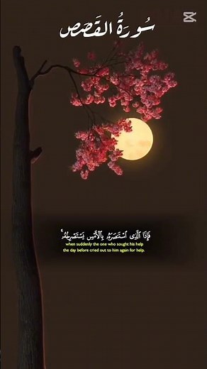 A heart-touching recitation from Surah Al-Qasas by Sheikh Dr. Yasser Al-Dossari✨️👌#HolyQuran #Quran