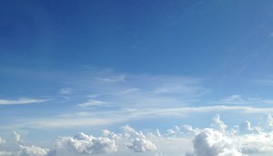 LOIS EVANS: CELEBRATION OF LIFE & LEGACY SERVICE THIS MORNING