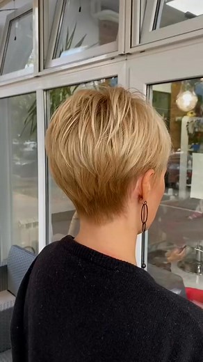 #sisanjekose #šišanje #pixiehaircut #pixie #pixiecut #pixiehairstyle #pixiehaircuts #shorthair #sh-1-1 #fyp #trending #reelchallenge #trendingreels #avenger #moviereviews | Doggy Delight