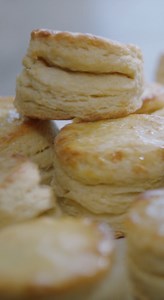 5.1K views · 172 reactions | As a side or main, smothered or plain, there are countless ways to serve biscuits! What's your go-to? #MagnoliaNetwork | Magnolia Network | Facebook