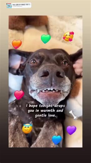 Tiki Dave (@davidlynch90)’s videos with original sound - Tiki Dave