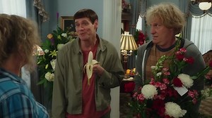 Dumb and Dumber To 2014 WEB-DL