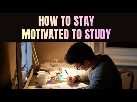 How To Stay Motivated To Study | Study Motivation Tips