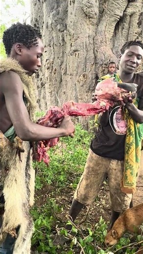 Hadzabe Community Preparing and Cooking Baboon Meat in the Forest