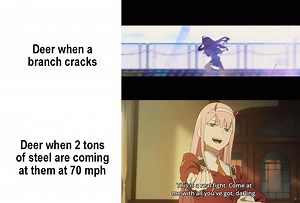 Deerling 🤣 | Anime BRUH