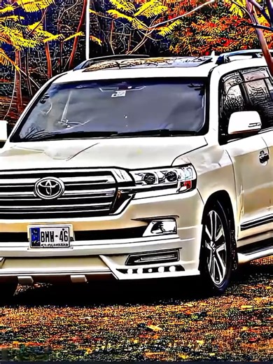 CapCut Pro Editing Services Available