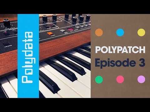 POLYPATCH with POLYDATA - Episode 3