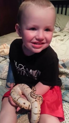 Snake eats human baby