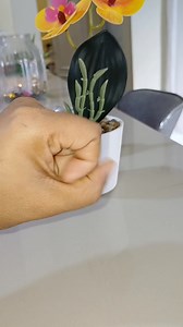 Mejora el sueño #reelsviralシfb #tuesday #consejos #fblifestyle #trucos #ideas #tisp | Los Consejos de Yulba