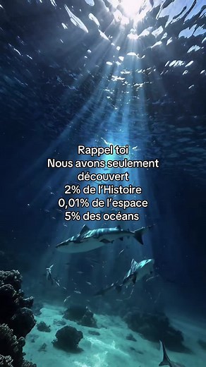 L'héritage de la bibliothèque d'Alexandrie