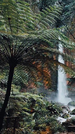 5.1K views · 271 reactions | Wild places with unspoiled Nature on the island of Java, Indonesia. #indonesia #java #island #waterfall #naturephotography #nature @followers @highlight Nature at its Best | Nature at its Best | Facebook