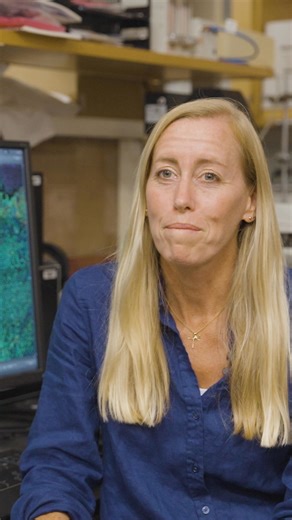 Faculty Spotlight: Shayn Peirce-Cottler, Harrison Distinguished Teaching Professor and chair of the department of biomedical engineering, discusses her lab's research on capillaries -- blood vessels that are necessary for delivering oxygen and nutrients to every cell in the body. | UVA School of Engineering and Applied Science