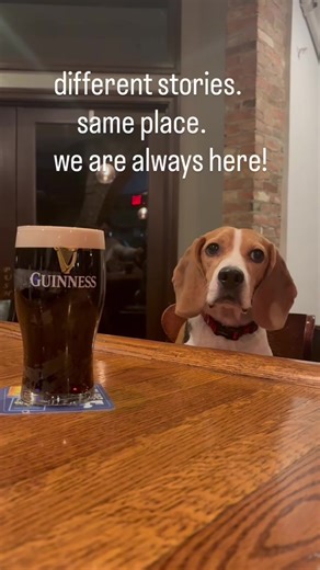 We’ll be here for it all!! (this includes Brick) #patrickspubpittsfield #resturant #irishpub #LushLife #mozzarella