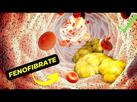The Benefits and Side Effects of Fenofibrate: What You Need to Know