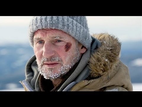 The Grey - Movie Review