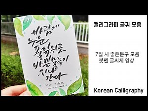 캘리그라피 문구 모음/7월의 시/여름문구/붓펜 글씨체/캘리그라피 글씨 모음/여름시/좋은글모음/Korean Calligraphy