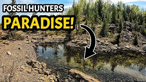 Why this fossil site is considered Michigan’s best kept secret