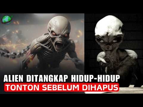 Misteri UFO Jatuh di Brasil: Alien Tertangkap Hidup, REKAMAN BOCOR? | Alien Kuno