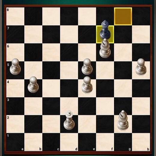 Human vs computer who will win (Chess YT)