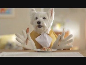 ペットフードのシーザーCM 15秒