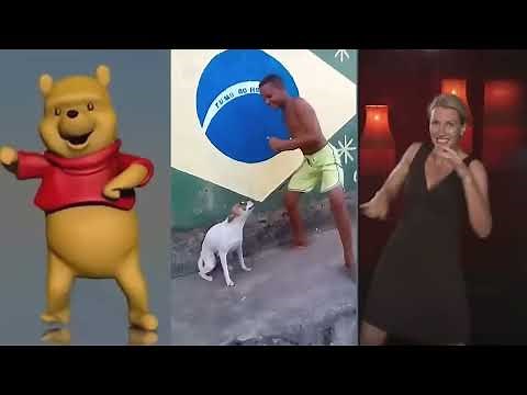 Assumptions x Memes (edit)