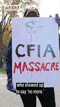 'Cull the CFIA': Patriots in Toronto organize farmers’ protest after ostrich massacre