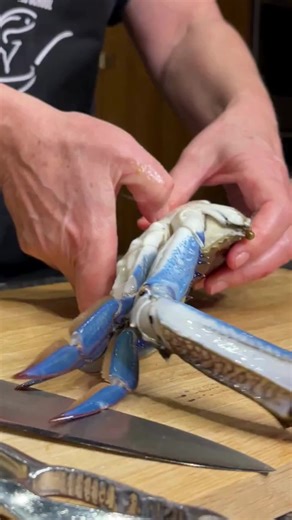 An autumn superstar: Blue Swimmer Crabs. Learn how to prep them like a pro in our Crab x Crab class. The ultimate crab showdown.