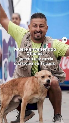 "Chicles," the dog who ran marathons in Tijuana, dies from poisoning.