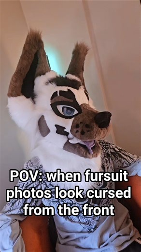 POV: when fursuit photos look cursed from the front