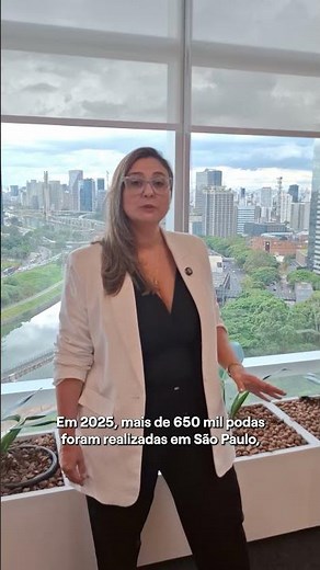 Modernization of the Enel SP Network - 2025