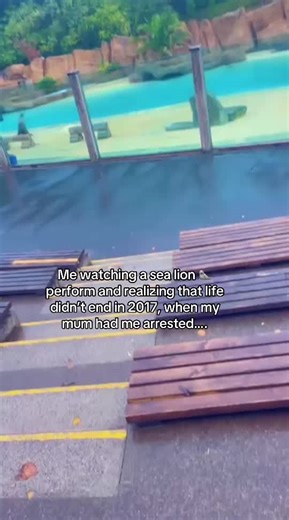 Me watching Sea Lion 🦭 perform and realizing that life didn't end in 2017 When my mum had me arrested... and taken to the police station because she had warned me not to use Facebook. She told me l could use any other social media-just not Facebook. But she caught me still using It. Even after that experience, I kept going back— reinstalling the app, hiding it on my phone, sneaking around with it. Until one day I got scammed of about N180,000🙆‍♀️ That was when I stopped using Facebook 😂 I've 