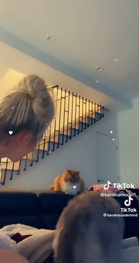 Kendra Sunderland: Love and Support from Fans