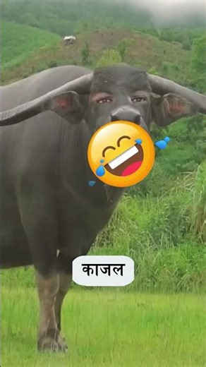 📋 Class Attendance With Names | Full Attendance Record | Attendance List 2025