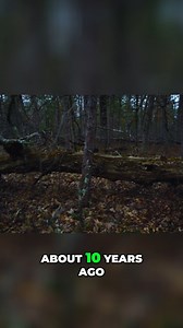 576K views · 11K reactions | A quiet camping trip turned into a night...