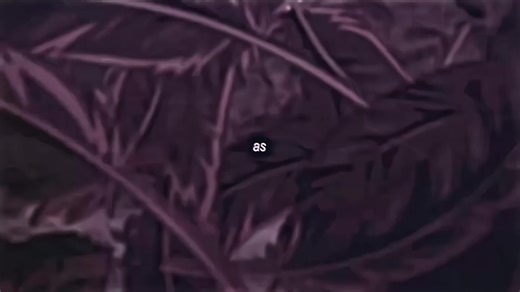 find the hidden yuu in the text game heh #twistedwonderland #twst #fyp #fypシ #viral